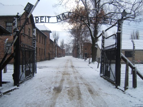 Auschwitz giornata della memoria